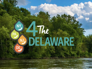 4 the Delaware Campaign